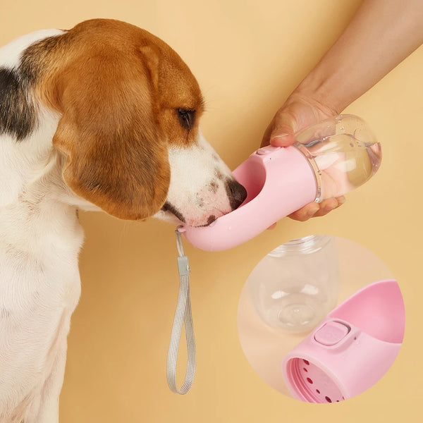 Outdoor Pet Water Bottle Dispenser